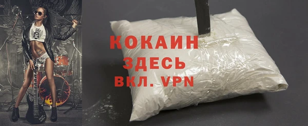 мдпв Богородицк