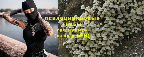 мдпв Богородицк