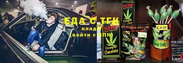 мдпв Богородицк