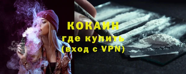 мдпв Богородицк
