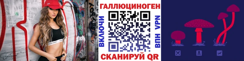 наркота Козьмодемьянск Псилоцибиновые грибы Psilocybine cubensis